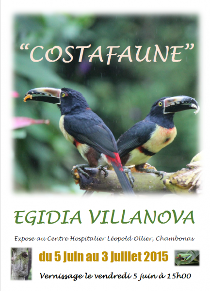 Exposition : Costafaune