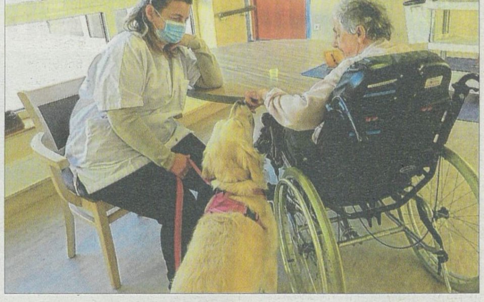 La médiation animale à l'hôpital