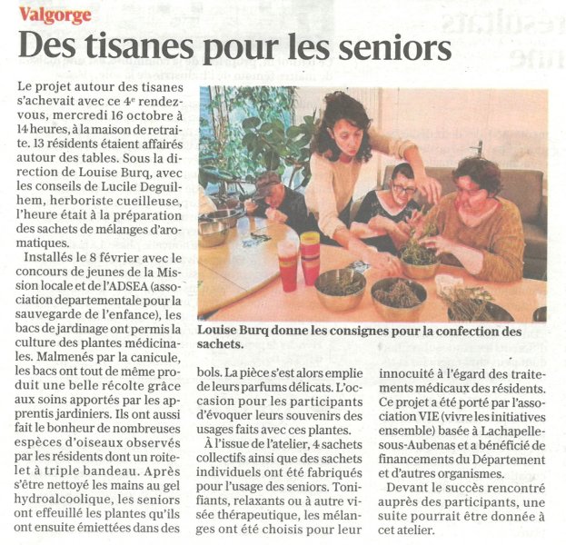 Des tisanes pour les seniors