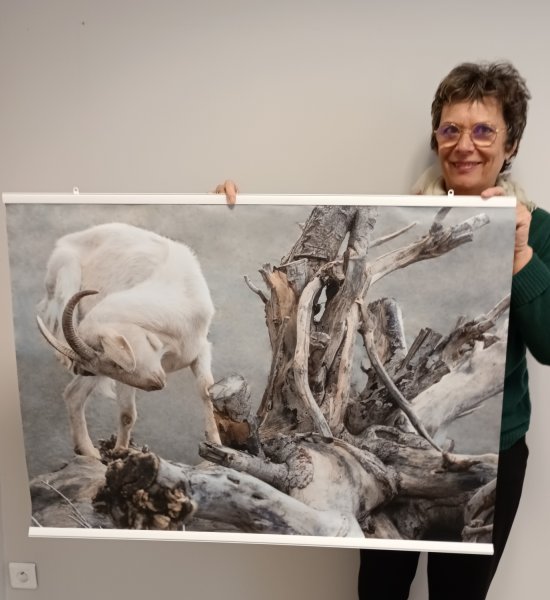 Vernissage Catherine Hilaire, photographe