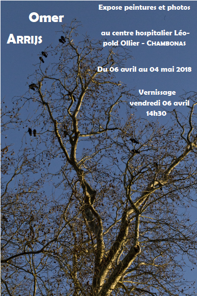 Exposition: Omer Arrijs