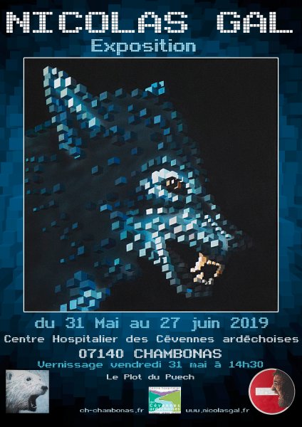 EXPOSITION : NICOLAS GAL